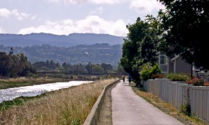 Trail from Port Royal Park to O'Neal Slough in Foster City